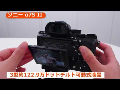 α7S II 新品 118,125円 中古 87,100円 | ネット最安値の価格比較