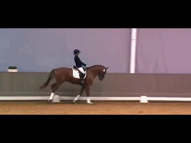 Somptueux 3 ans futur &eacute;lite 