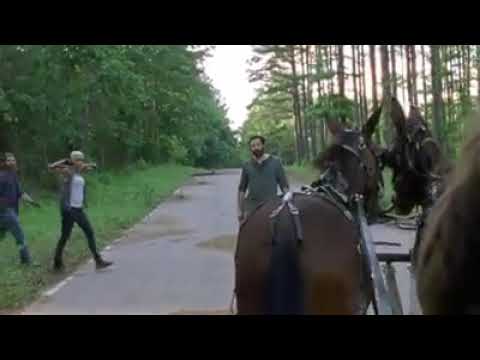 THE WALKING DEAD 9x3 promo