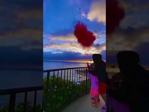 Tainy, J. Balvin - Agua (Music From "Sponge On The Run" Movie) vlog