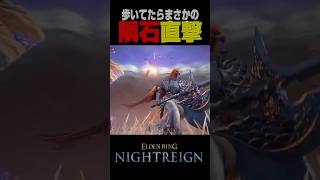 【奇跡】歩いてたら隕石に直撃する守護者 #ナイトレイン #nightreign #shorts