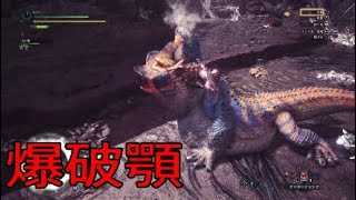 ヌ○クローみたいww【MHW実況】part 21
