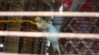 Sa Wakas, Pare ko - The Reunion