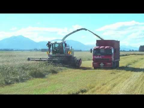 MacDon Meets Claas - Cross Productions