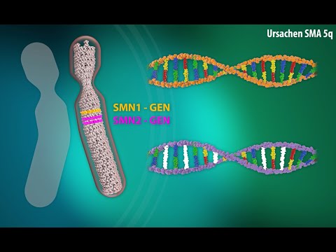 Erklärvideo Spinale Muskelatrophie (SMA)