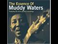 Muddy Waters - I'm Ready