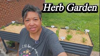 Garden Chores | Fertilizing Onions and Peas