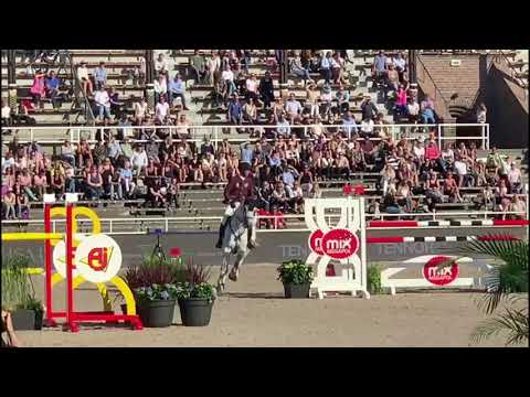 KM Chalcedon (by Calido I), ridden by Jur Vrieling