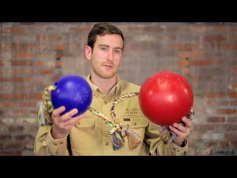 Игрушка для собак Jolly Pets Мяч с канатом Romp-n-roll 22 см Голубой (608BL) - фото 2 - id-p1897448192