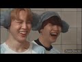 BTS Timber Fmv
