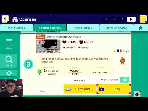 Monochromatic Acrobatic - Super Mario Maker 2 SMB1 Castle level
