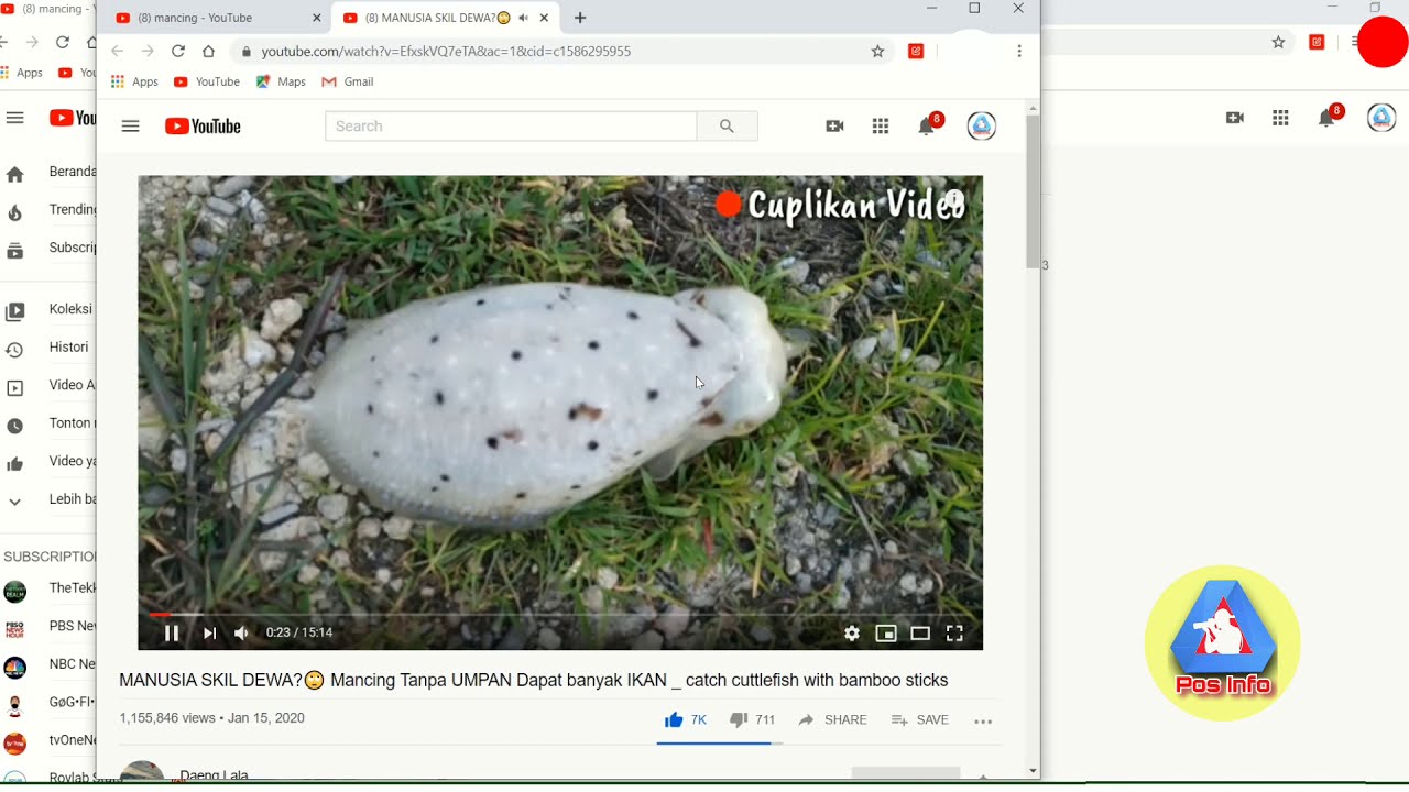Youtube Auto Comment Bot | How to send comments at once to many YouTube channels