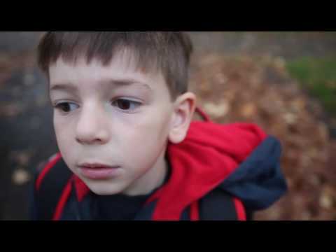 Planet ANM - Sara (KJN Blend)