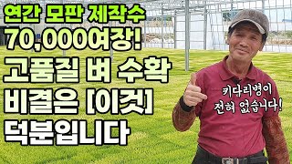 벼 키다리병 확실하게 잡는법! 종자 소독법까지 이 영상 하나로 해결하세요
