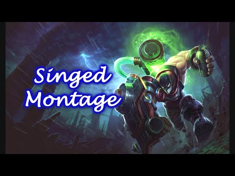 Leo Chem - Singed montage #1