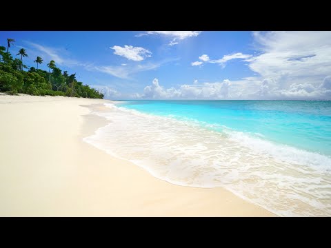 11HRS of 4K Tropical Beach Waves: Hawaii, Caribbean, Fiji & Mexico + Nature Sounds for Relaxation