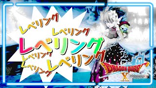 【ドラクエ10】突然始めるレベリング。元気玉2個分くらい！《中断の可能性あり》