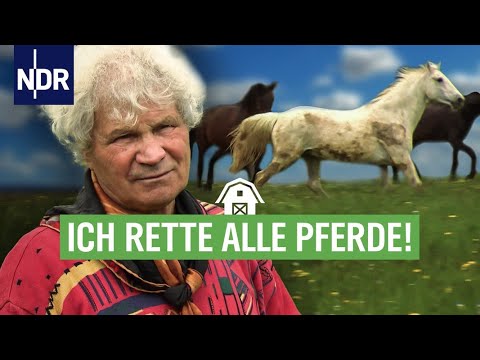 , title : 'Tierretter in der Wesermarsch | die nordstory | NDR'