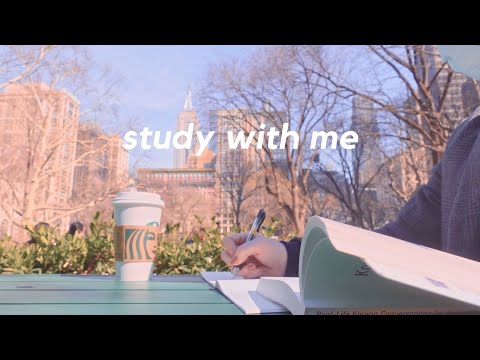 1-HOUR STUDY WITH ME in New York | study with sunset, no music, real sounds, study asmr [with timer]