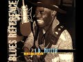 J.B. HUTTO – 14 Combination Boogie