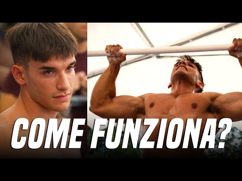 ENDURANCE CUP 2023 COME FUNZIONA?