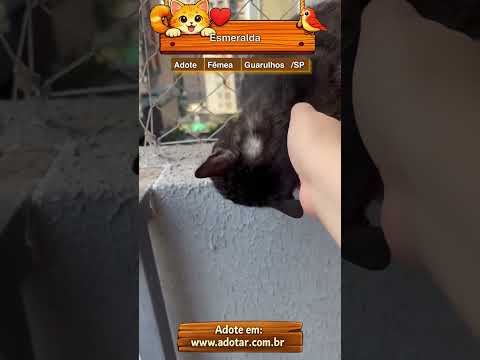 Vídeo de Esmeralda 