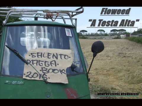 Floweed - A Testa Alta