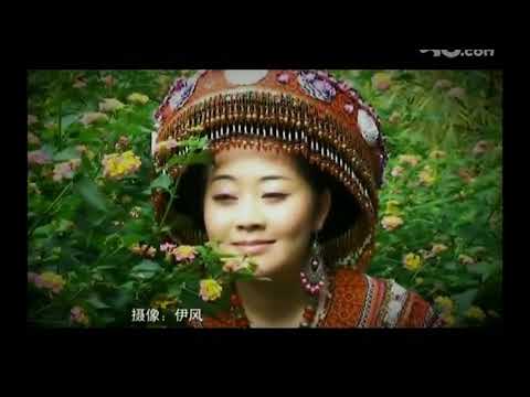 Niam dej daag koj ntwg qhov twg log