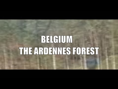 Belgium, the Ardennes forest