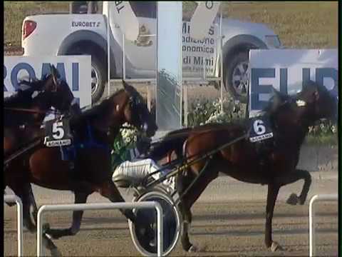 Trotto 28/09/2018 - 6ª corsa