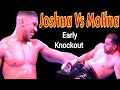 Anthony Joshua Vs Eric Molina Full Highlights