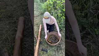 Download lagu Amazing Eel Trap With Survival Skills mp3