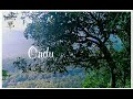 Kannada Love Status Video Kannada Love Status Agumbe Love