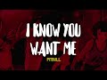 Pitbull I Know You Want Me Calle Ocho Letra