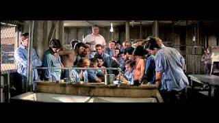 Cool Hand Luke: Junkyard Heart