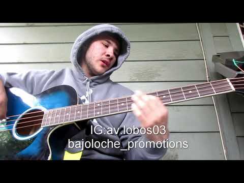 El Ted - Los Nuevos Ondeados