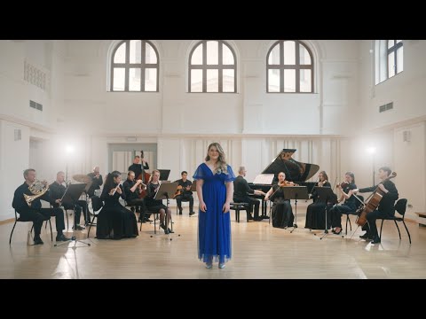 NIKKA Kusendová feat. Nanosymphony - Balada o poľných vtákoch