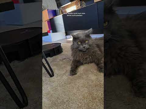 Anzeige/ das ist der T90 PRO OMNI von @ecovacsrobotics