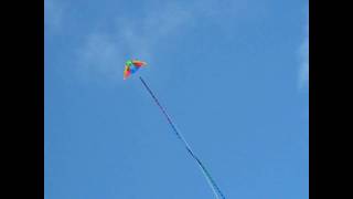preview picture of video 'Kite flying, Mission Bay Park, San Diego, CA, 3/13/10'