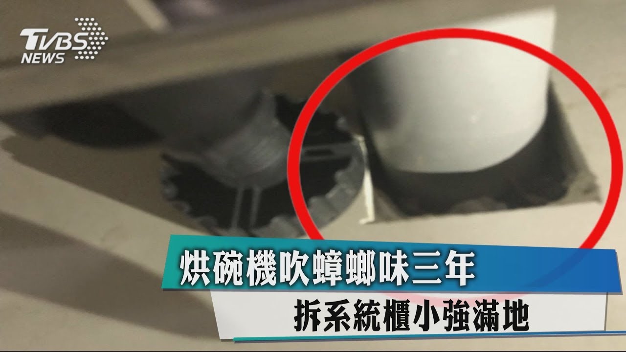 烘碗機吹蟑螂味3年 拆系統櫃小強滿地