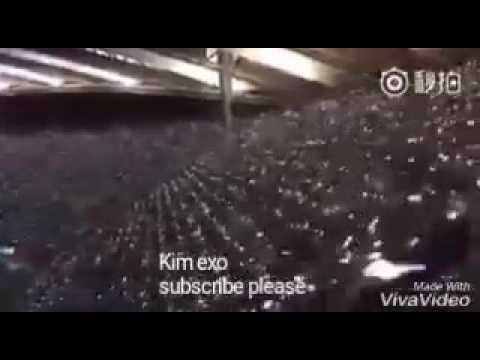 Exo-Ls fanchants during lotto (Dream concert)