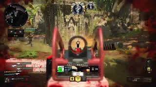 【BO4】お久しぶりです。しおたです。【しおたGAME】
