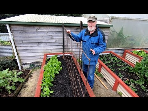 A YEAR in our GARDEN - The cycle continues (June)