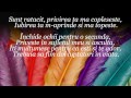 Bogdan Medvedi - Suflete Pereche ( Lyrics ) 