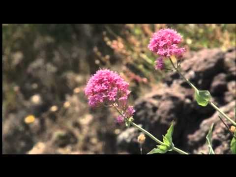 Documentario su Giacomo Leopardi 6 di 6