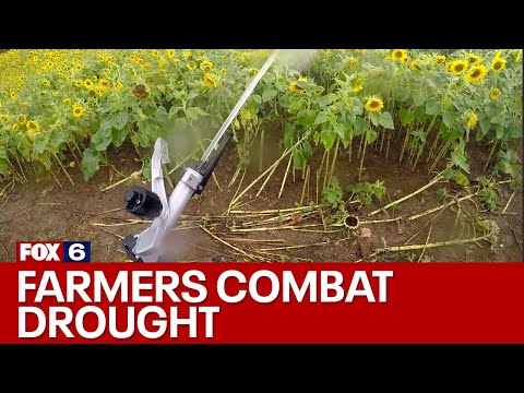 Wisconsin farmers combat drought | FOX6 News Milwaukee