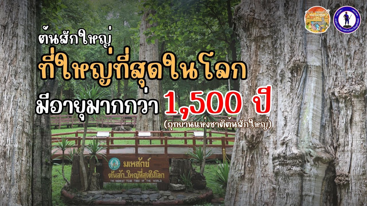อุทยานแห่งชาติต้นสักใหญ่