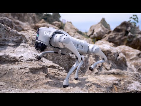 Unitree Go2 Review Video 1