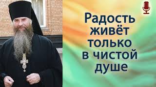 Радость живёт только в чистой душе