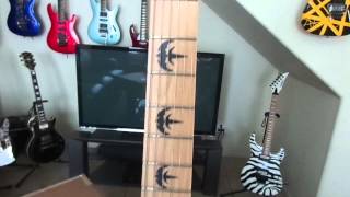 Video thumbnail for ESP LTD MW-SKULL Signature Electric Guitar Unboxing Sneak Preview by cryptonet007